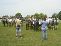 IMG_0404.jpg